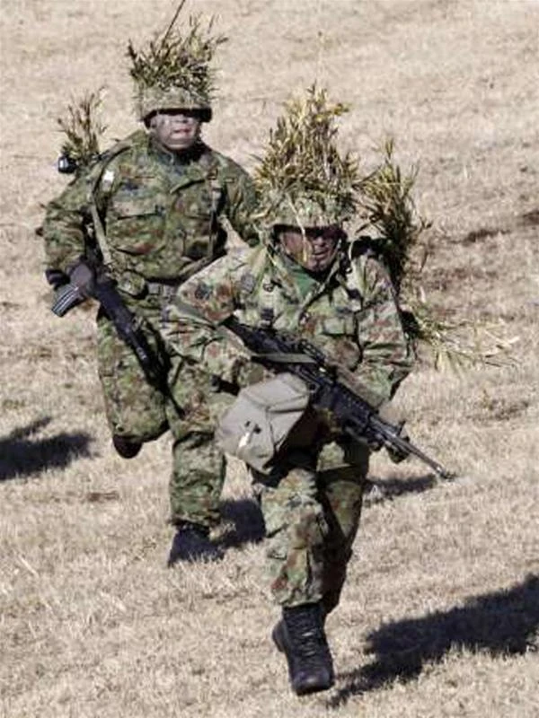 Nhật tăng ngân sách quốc phòng ảnh 1