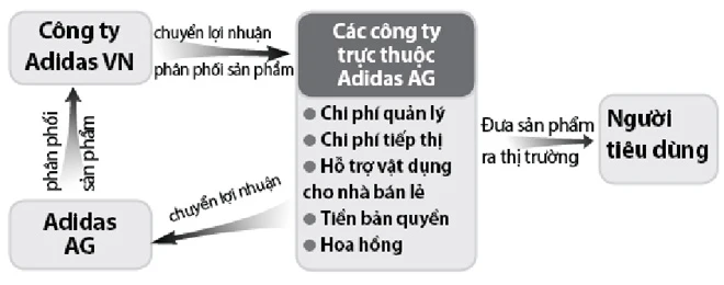 Adidas VN lòng vòng chuyển giá ảnh 2