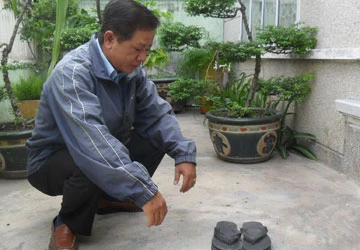 Báo động nạn trộm cắp ở Gò Vấp ảnh 2