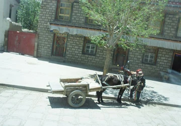 Xứ sở hạnh phúc ảnh 3