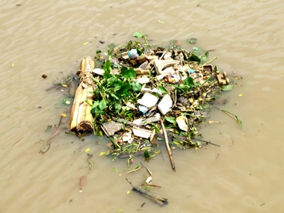 Sông Tiền quá bẩn! ảnh 4