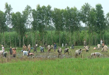 Đau đáu ngày về ảnh 1