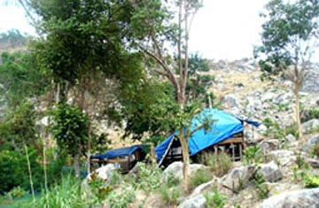 Đột nhập “lãnh địa” cần sa- Kỳ 1: Gian nan đường lên đỉnh Mây Tàu ảnh 4