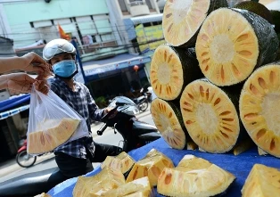 Đổ xô trồng mít Thái ảnh 1