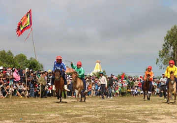 Hàng vạn người thưởng lãm hội đua ngựa truyền thống ảnh 1