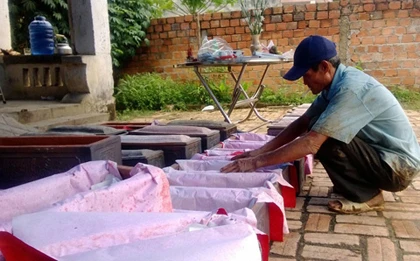 Kon Tum: Giật mình đào được 61 ngôi mộ dưới móng nhà ảnh 1