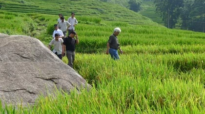 Kỳ 1: Sa Pa sẽ thành nghĩa địa thủy điện? ảnh 1