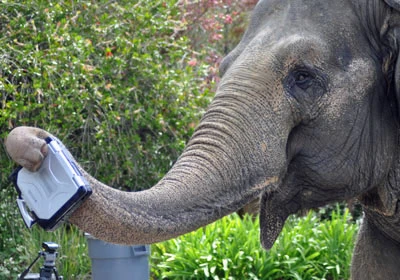 Panasonic CF-30: Laptop “chống” lại Hổ ảnh 6 Panasonic CF-30: Laptop “chống” lại Hổ ảnh 6