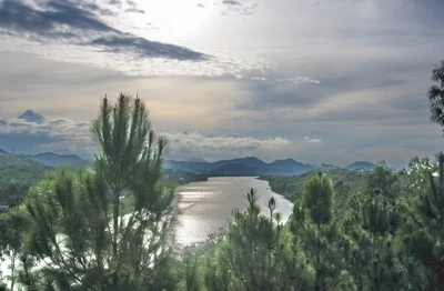 Tự xây mộ cho mình ảnh 3