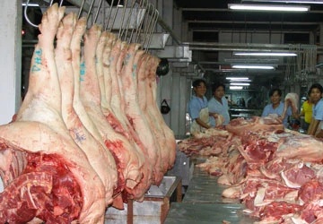 TP.HCM: Bảo vệ đàn heo giống để sau dịch không sốt giá ảnh 1