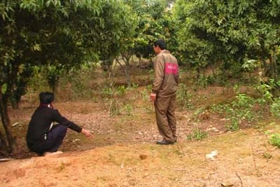 Ly kỳ chuyện săn tìm kho vàng 3 tạ ở Bắc Giang ảnh 3 Ly kỳ chuyện săn tìm kho vàng 3 tạ ở Bắc Giang ảnh 3