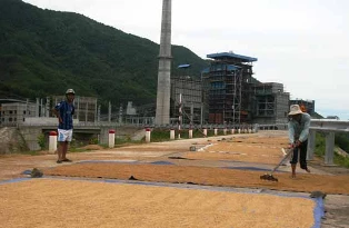 Nhà máy nhiệt điện Nông Sơn (Quảng Nam): Nhà thầu Trung Quốc “tháo thân” ảnh 1