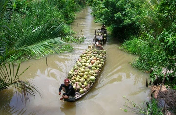 Còn đâu những chuyến đò xưa… ảnh 1