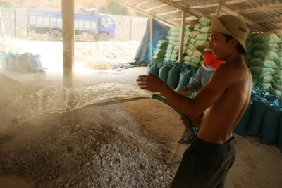 Cư dân trong lòng Lập An ảnh 3