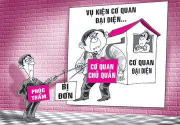 Cơ quan đại diện có tư cách pháp nhân? ảnh 1