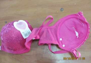 Hiểm họa từ áo ngực Trung Quốc ảnh 1