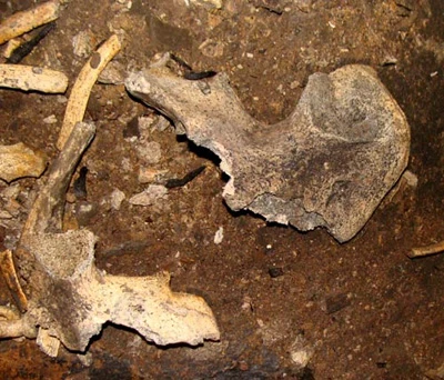 Hãi hùng đống xương trong khe đá ảnh 6