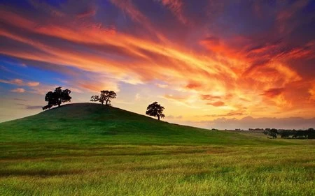 Mang thiên nhiên lên màn hình máy tính với bộ sưu tập hình nền tuyệt đẹp ảnh 13