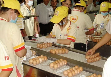 Lao động bỏ thành thị về quê ảnh 1