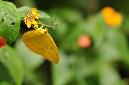 Những khoảnh khắc cuộc thi ảnh Canon Photo Marathon ảnh 3