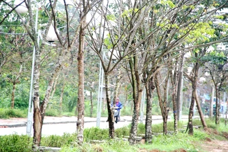 Đường Trịnh Công Sơn - những góc nhìn đẹp ảnh 5 Đường Trịnh Công Sơn - những góc nhìn đẹp ảnh 5