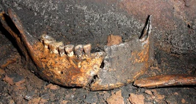 Tiến sĩ Nguyễn Lân Cường: Không tin kho xương đã 2.100 tuổi ảnh 4