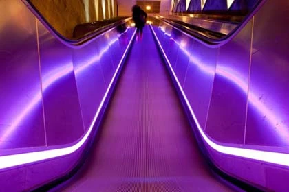 Những bức ảnh chụp góc thấp ấn tượng ảnh 14