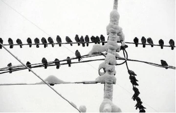 Những hình ảnh ấn tượng về mùa đông châu Âu ảnh 16