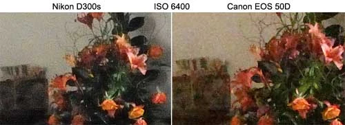 Và tại mức ISO 6400. Ảnh: Cameralabs.