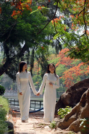 Thiếu nữ e ấp trong mùa hoa phượng ảnh 6