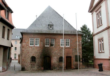 Hiểm họa tân phát xít - Bài 2: Ngoi lên bằng mọi cách ảnh 1