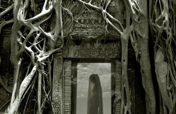 Nhiếp ảnh gia Trần Huy Hoan: “Đã có lúc bị người ta vác súng đến nhà” ảnh 1