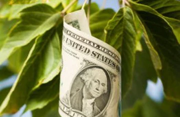 Phố Wall một năm sau ngày ngân hàng Lehman Brothers sụp đổ ảnh 1 Phố Wall một năm sau ngày ngân hàng Lehman Brothers sụp đổ ảnh 1