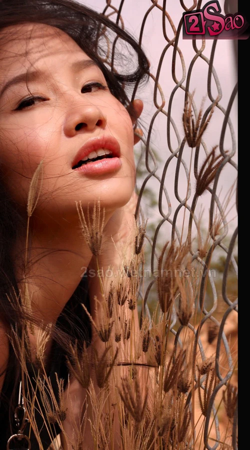 "Tôi không sợ shock" ảnh 8