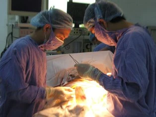 Bác sĩ bị đồng nghiệp cắt nhầm thực quản ảnh 1