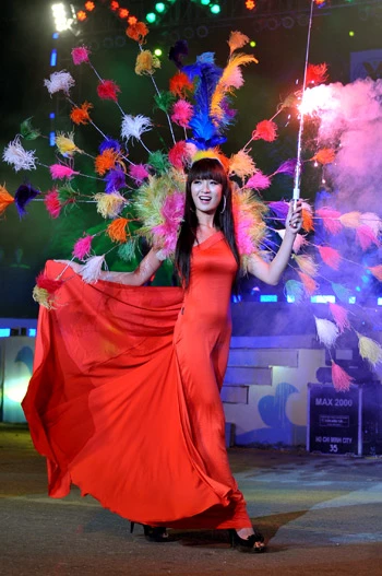 Đêm hội Carnaval Hạ Long rực rỡ sắc màu ảnh 16