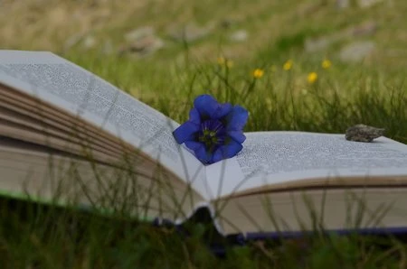 Bộ hình nền tuyệt đẹp mừng ngày "nhà giáo Việt Nam 20/11" ảnh 27