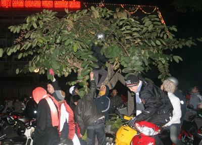 Đua nhau "bẻ lộc" đầu xuân trước cửa Ngân hàng (ảnh: H.Ngân) Đua nhau "bẻ lộc" đầu xuân trước cửa Ngân hàng (ảnh: H.Ngân)