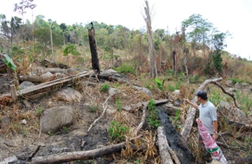 Đột nhập “lãnh địa” cần sa- Kỳ cuối: Cõng xăng lên núi đốt cần sa ảnh 3