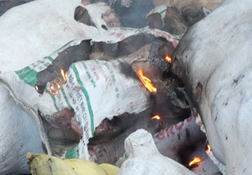 “Cướp” lại 2,2 tấn thịt bò thối bị tiêu hủy ảnh 3 “Cướp” lại 2,2 tấn thịt bò thối bị tiêu hủy ảnh 3