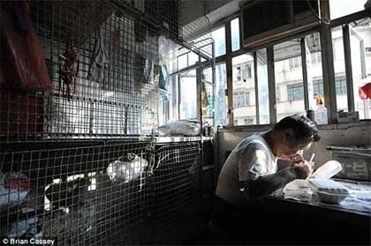 Thảm kịch sống trong "chuồng chó" ở Hong Kong ảnh 4 Thảm kịch sống trong "chuồng chó" ở Hong Kong ảnh 4