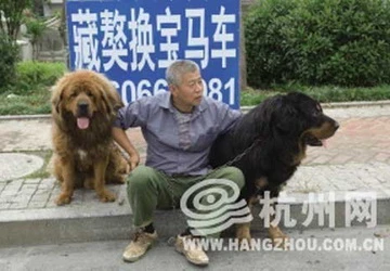 Giao dịch lạ: Đổi 2 con chó lấy một chiếc BMW ảnh 1