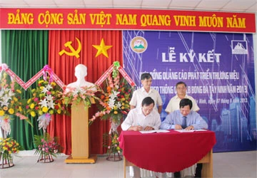 Xi măng Fico Tây Ninh xây dựng phát triển thương hiệu ảnh 1