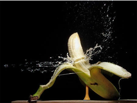 Thời gian ngưng đọng qua ảnh chụp tốc độ cao ảnh 12 Thời gian ngưng đọng qua ảnh chụp tốc độ cao ảnh 12