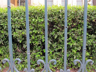 Cận cảnh hàng trăm vết đạn ghim vào hàng rào sắt ảnh 9