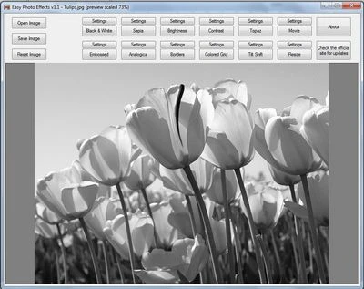 Tạo hiệu ứng để hình ảnh đẹp mắt và ấn tượng hơn ảnh 2