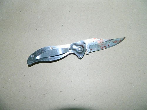 Bao vây bắt con rể gây án mạng nhà cha vợ ảnh 2