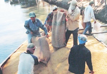 Vụ Nông trường Sông Hậu: Pháp luật và sự “thỏa đáng” ảnh 1 Vụ Nông trường Sông Hậu: Pháp luật và sự “thỏa đáng” ảnh 1