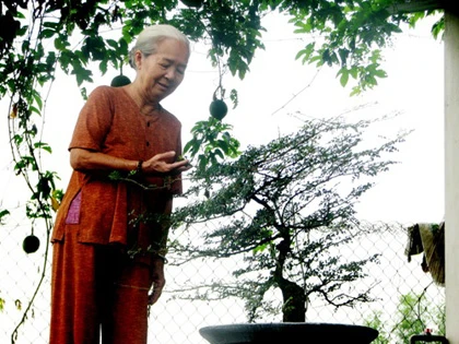 Cụ bà mua trúng chậu kiểng nở ra “loài hoa 3.000 năm” ảnh 3