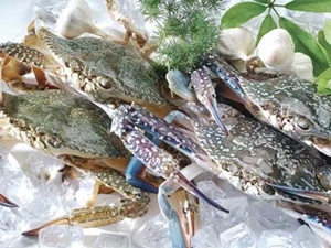 Cách cấp đông để cua, ghẹ chết 3 tiếng vẫn ngon ảnh 1